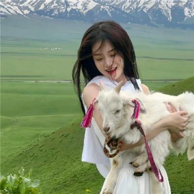 灵气复苏,万兽进化